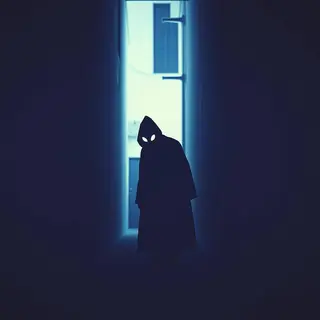 Shadow Moves cover
