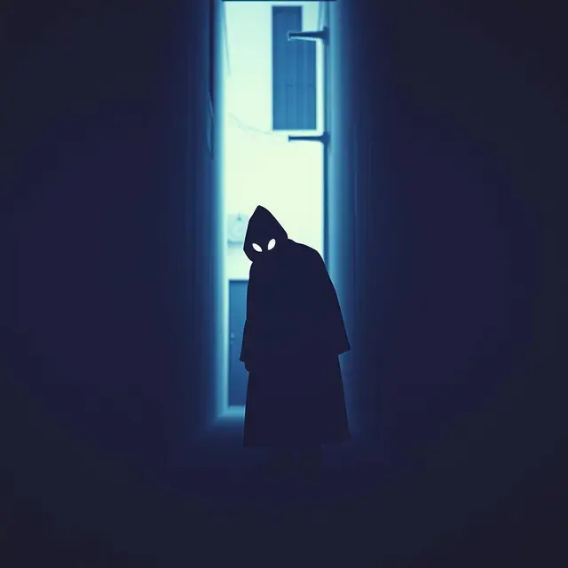 Shadow Moves cover